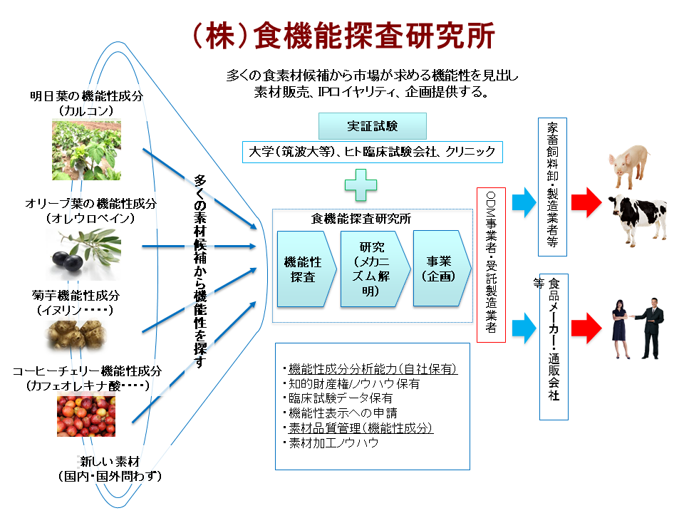 ビジネスモデル